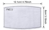 Mask Filter Replacements- Adult PM2.5 Activated Carbon Filter 5 layers Anti Haze Filter Paper - Love Glasses Revolution